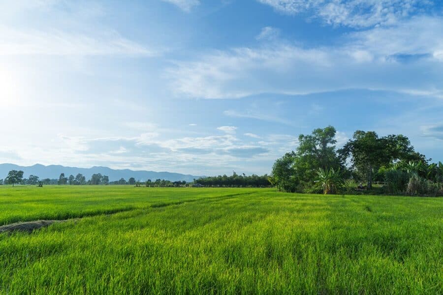 Zemlja – temelj života