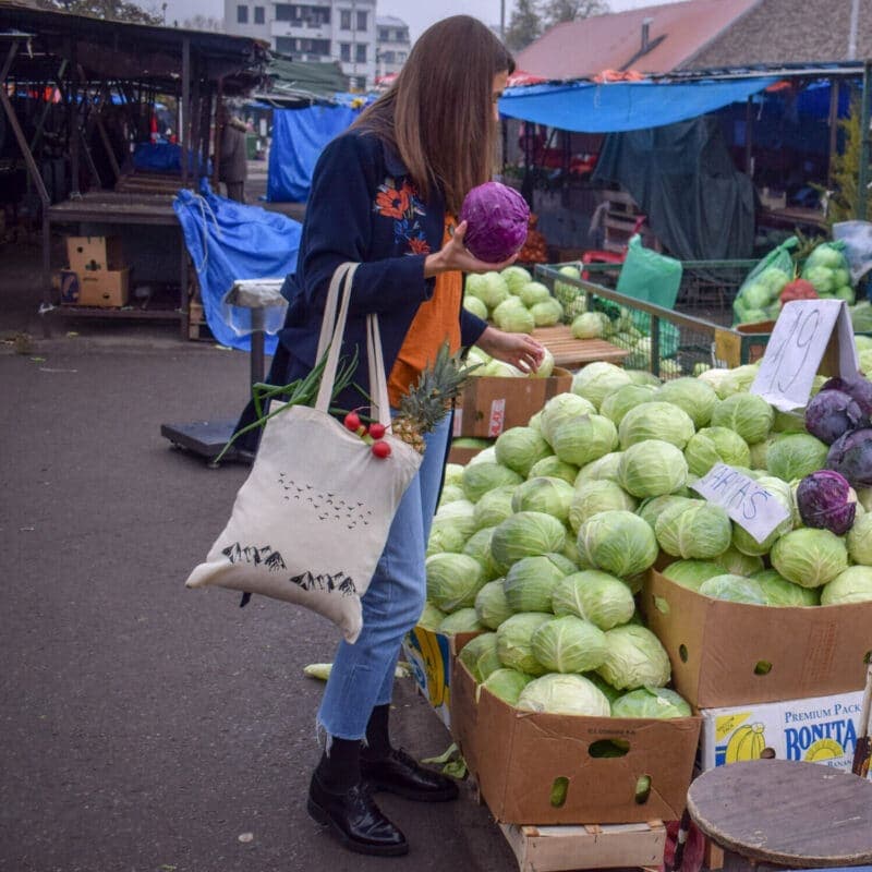 ceger za pijacu planine