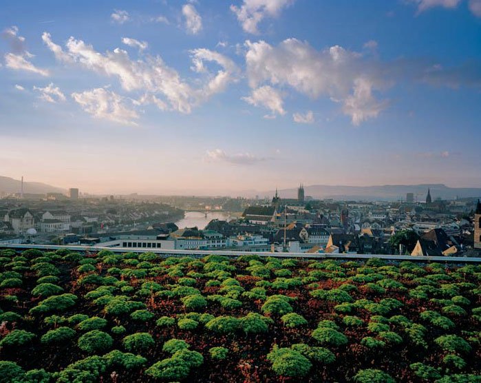 Biljke koje vole toplotu pokrivaju krov ove bolnice u Bazelu u Švajcarskoj.
Ove bilje su sada obavezne na svim novim ravnim krovovima u ovom gradu. Izvor slike: National Geographic