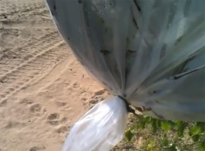 Zatvaranje džaka na grani i formiranje rezervoara za vodu