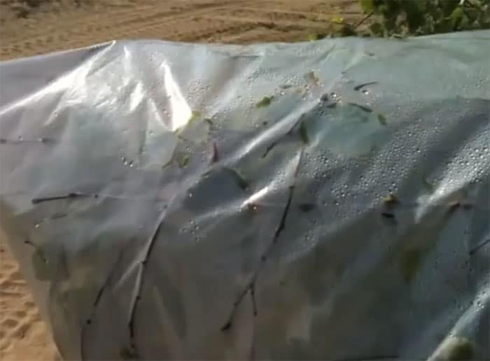 Gotov sistem za sakupljanje vode isparavanjem sa rezervoarom na dnu