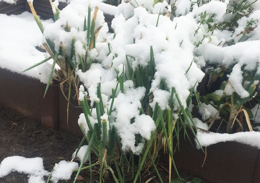 Izvor slike: Off Grid World