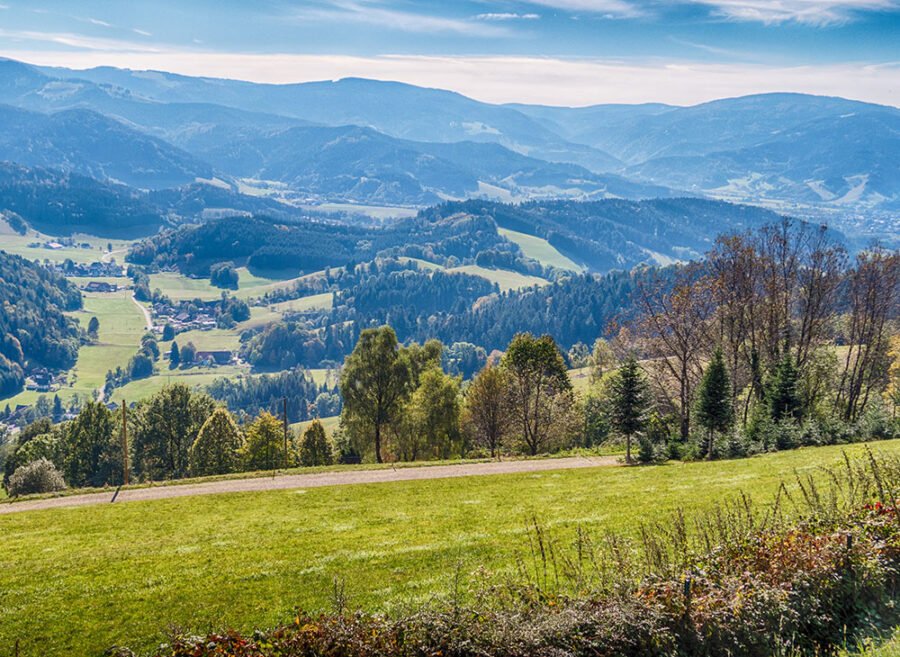 Izbor zemljišta za dugotrajni opstanak