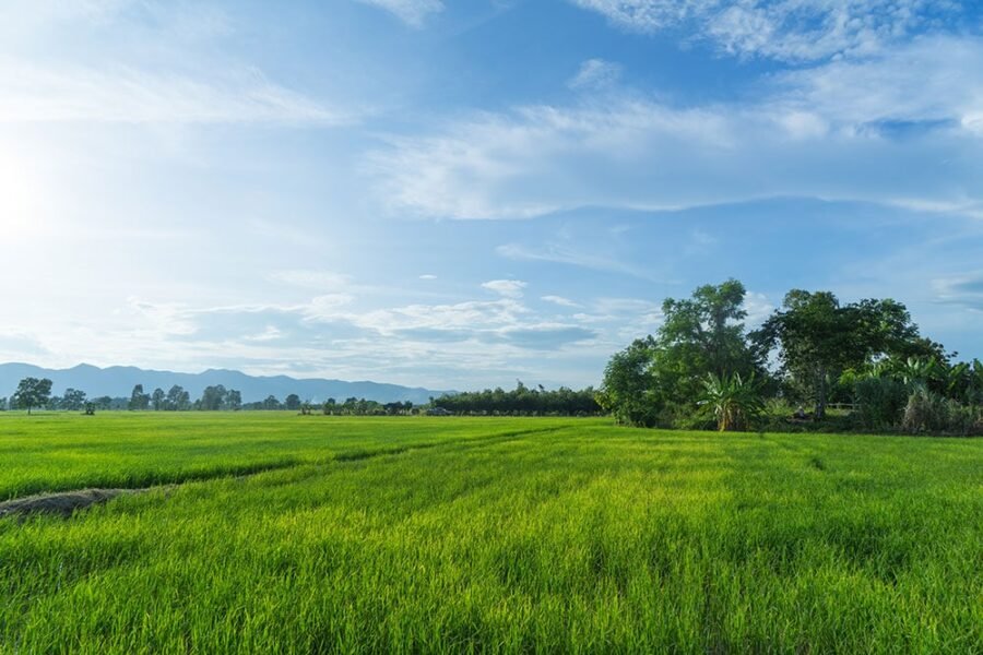 Zemlja kao osnova za samoodrživost i život