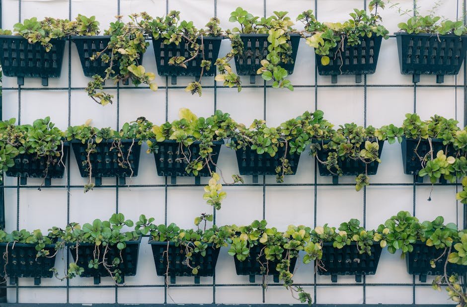 Vertikalna bašta sa povrćem na zidu