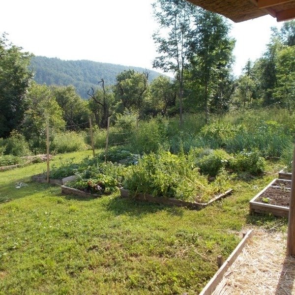 Permakulturna bašta sa uzdignutim lejama