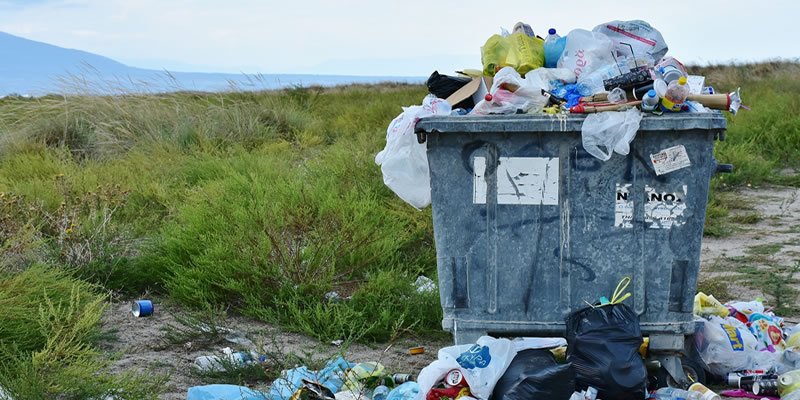 Plastične kese u prirodi koje se ne razgrađuju