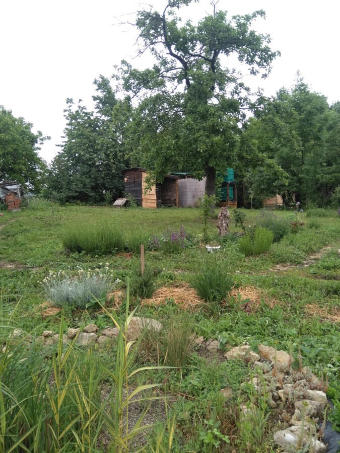 Dvorište Rtanjskog Vrta sa drvenim objektima