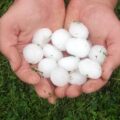 Kako se zaštiti od grada i štete koju nanosi bašti