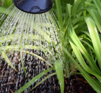 korišćenje sive vode u domaćinstvu