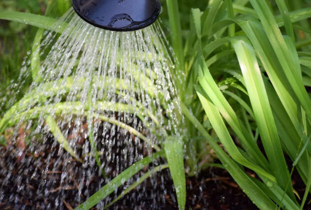 korišćenje sive vode u domaćinstvu