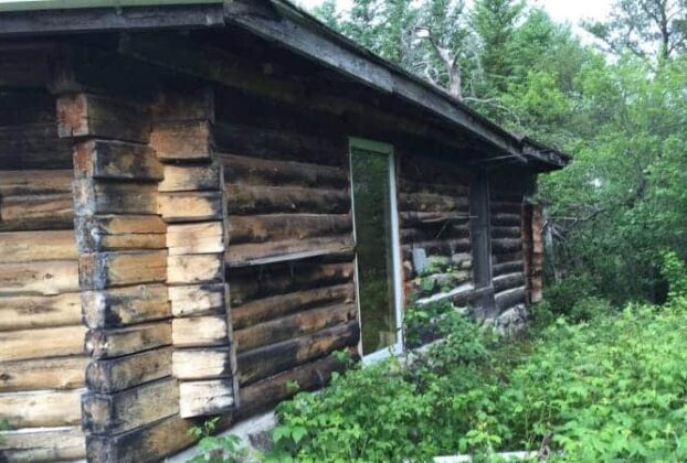 šta znači život van mreže